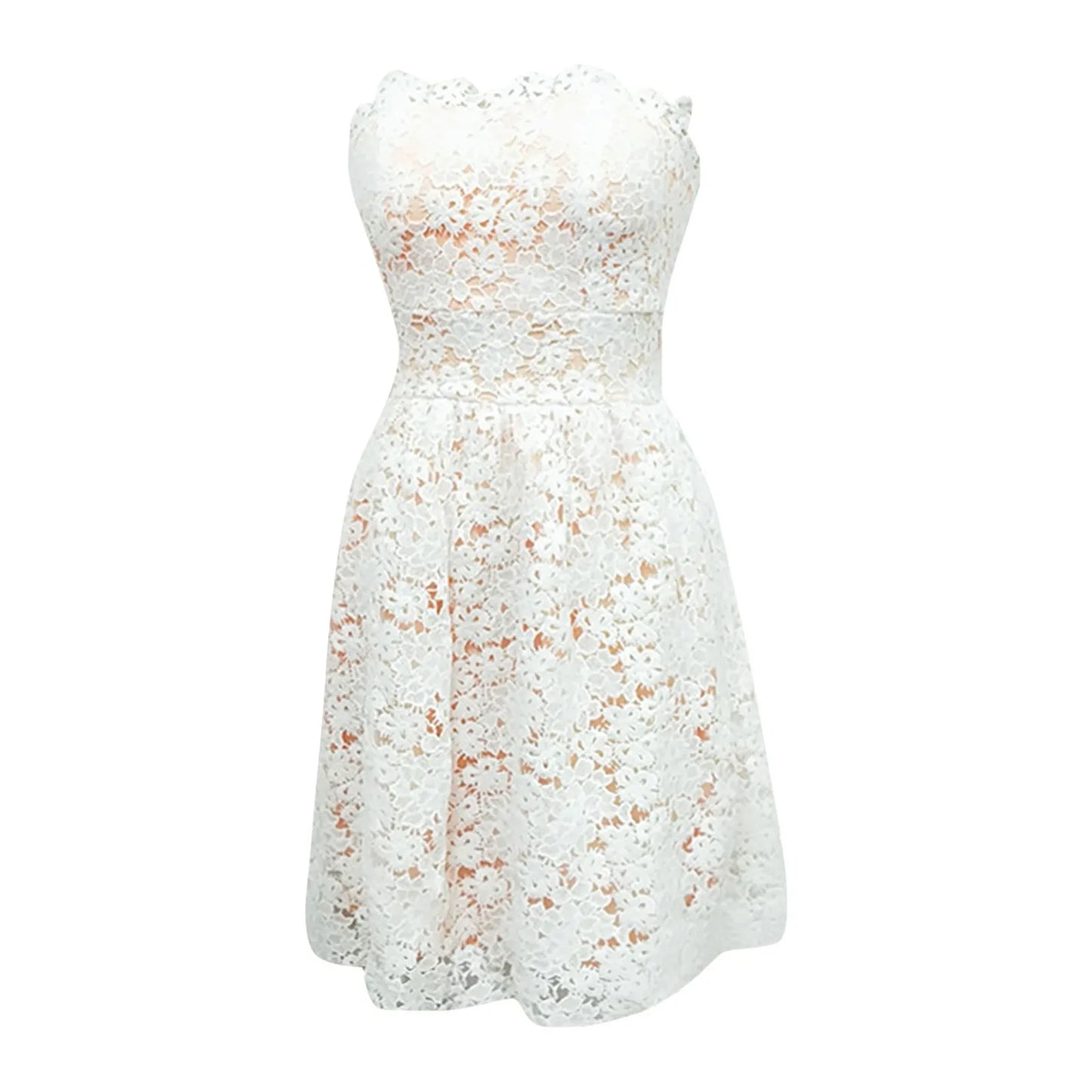 Lace Embroidered Romantic Alternative Mini Dress