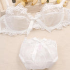 Romantic Dusty Pink Floral Embroidered Underwire Bra and Brief Set