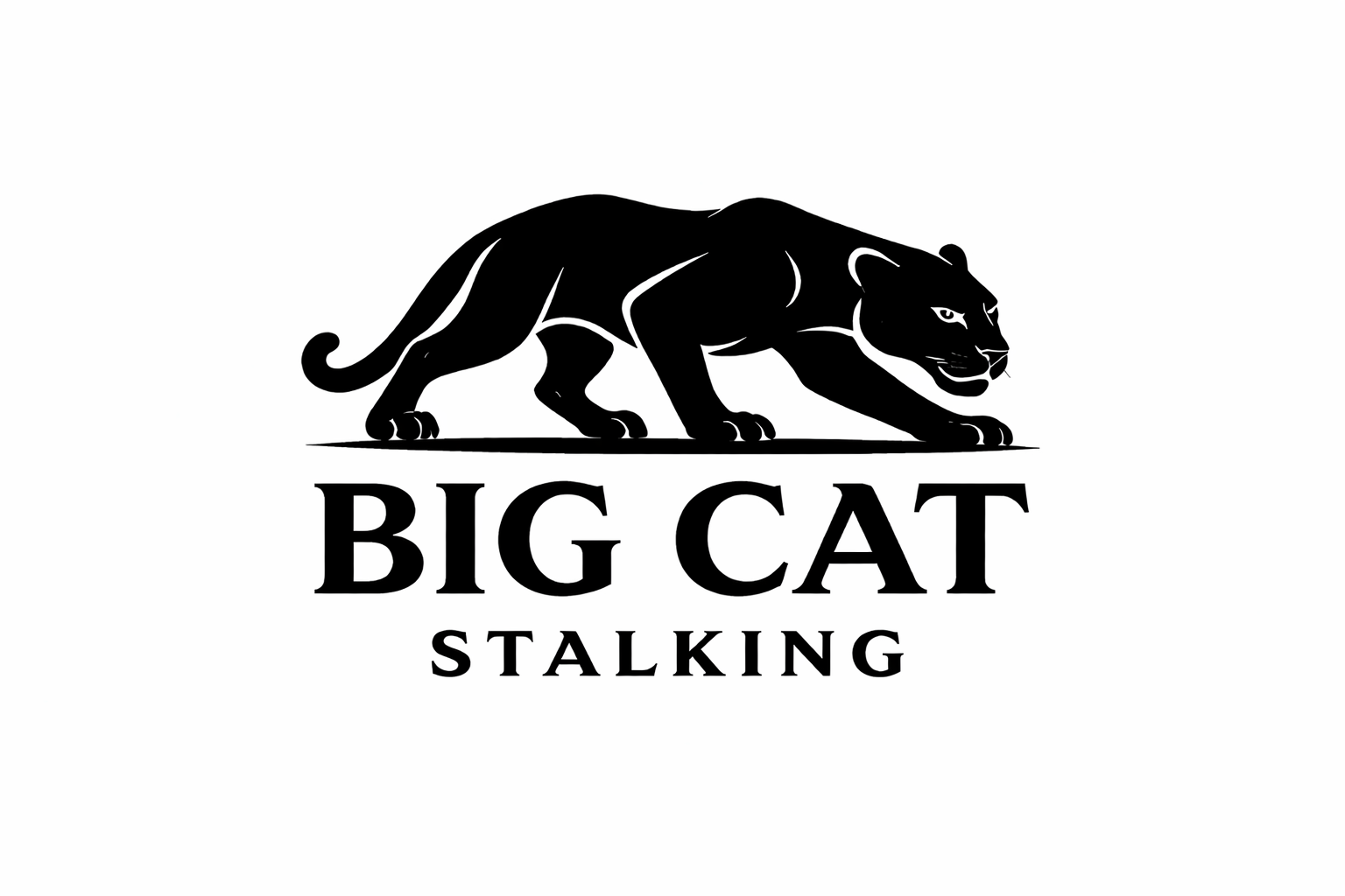 Big Cat Streetwear