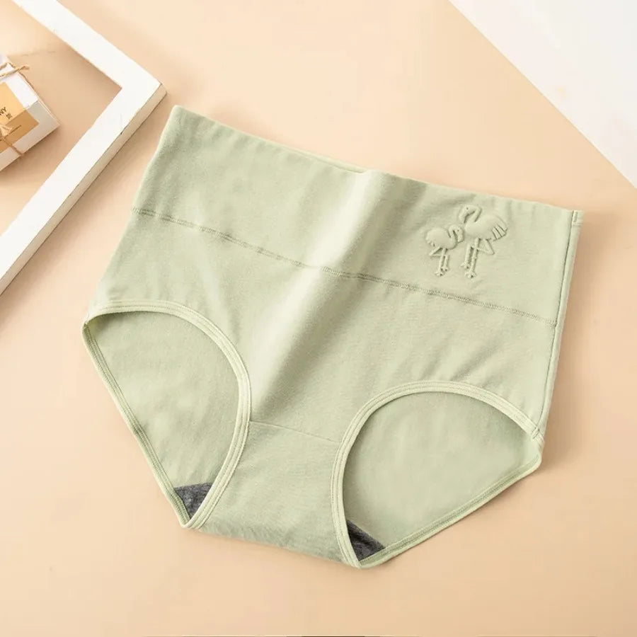 4-Piece Plus-Size Women’s High-Waisted Briefs Set with Full-Coverage Silhouette, Smooth Finish and Neutral Color Assortment