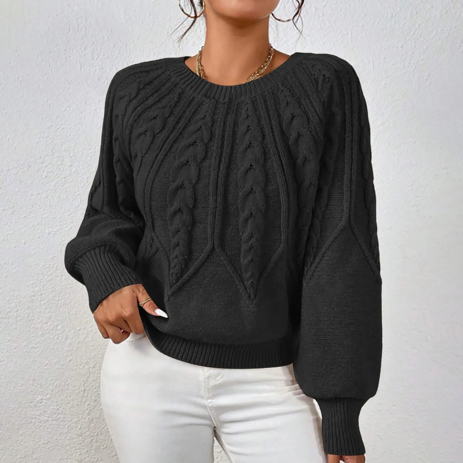 Women's Textured Crew Neck Relaxed Fit Contemporary Knit Sweater Top