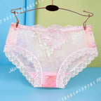 Women’s Floral Embroidered Lace Briefs with Sheer Panels, Low-Rise Silhouette and Delicate Feminine Detailing