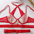 Fierce Red Strappy Sheer Mesh Underwire Harness Lingerie Set