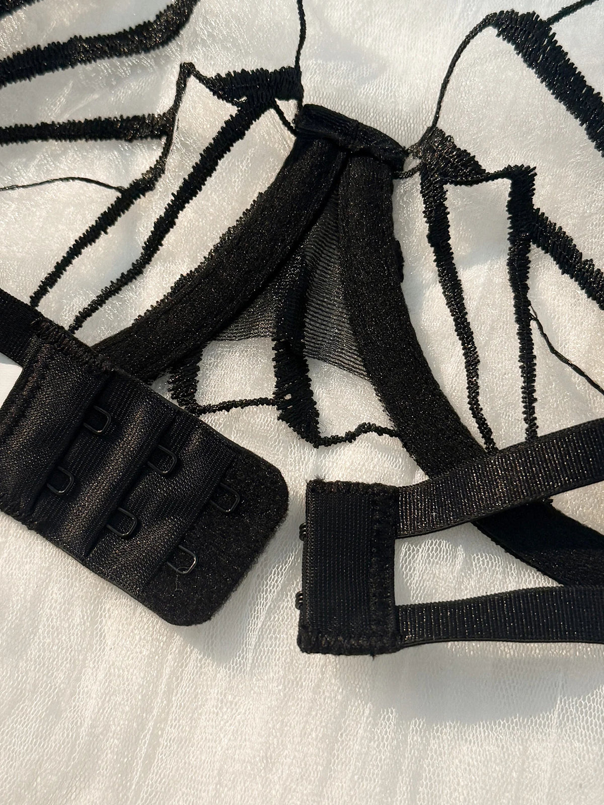 Architectural Black Linear Embroidery and Nude Mesh Underwire Set