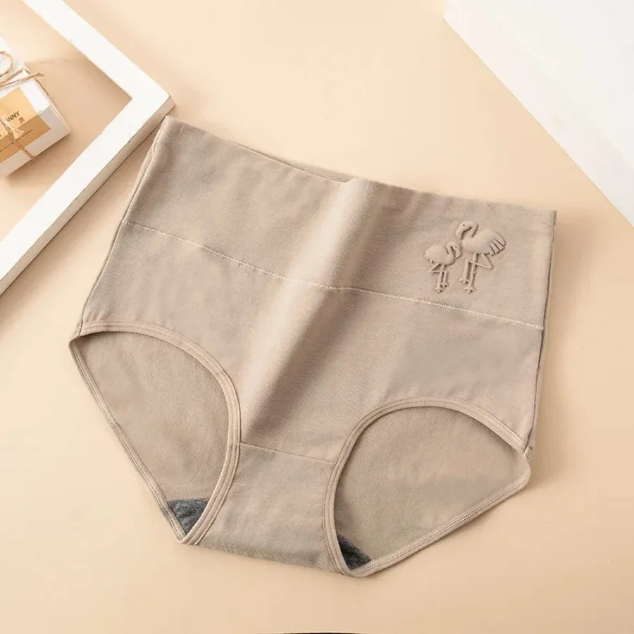 4-Piece Plus-Size Women’s High-Waisted Briefs Set with Full-Coverage Silhouette, Smooth Finish and Neutral Color Assortment