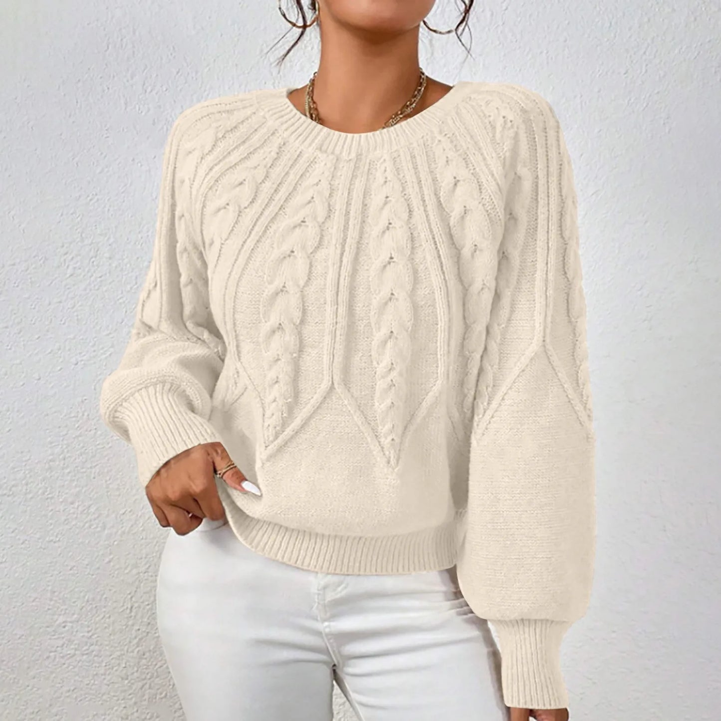 Women's Textured Crew Neck Relaxed Fit Contemporary Knit Sweater Top