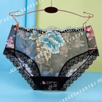 Women’s Floral Embroidered Lace Briefs with Sheer Panels, Low-Rise Silhouette and Delicate Feminine Detailing