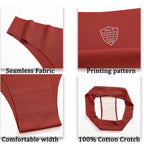 5-Piece Women’s Seamless Low-Rise Brazilian Briefs Set with Colorful Striped Details, Smooth Silhouette and Assorted Designs