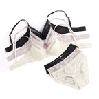 Elegant Scalloped Lace Plunge Bra and Panty Intimates Set