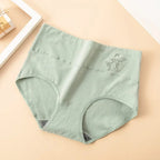 4-Piece Plus-Size Women’s High-Waisted Briefs Set with Full-Coverage Silhouette, Smooth Finish and Neutral Color Assortment