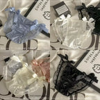 Glossy Ruffled Brief Panty with Delicate Bow Accents