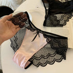 Romantic Plum and Black Lace Trim Satin-Look Brief Panty