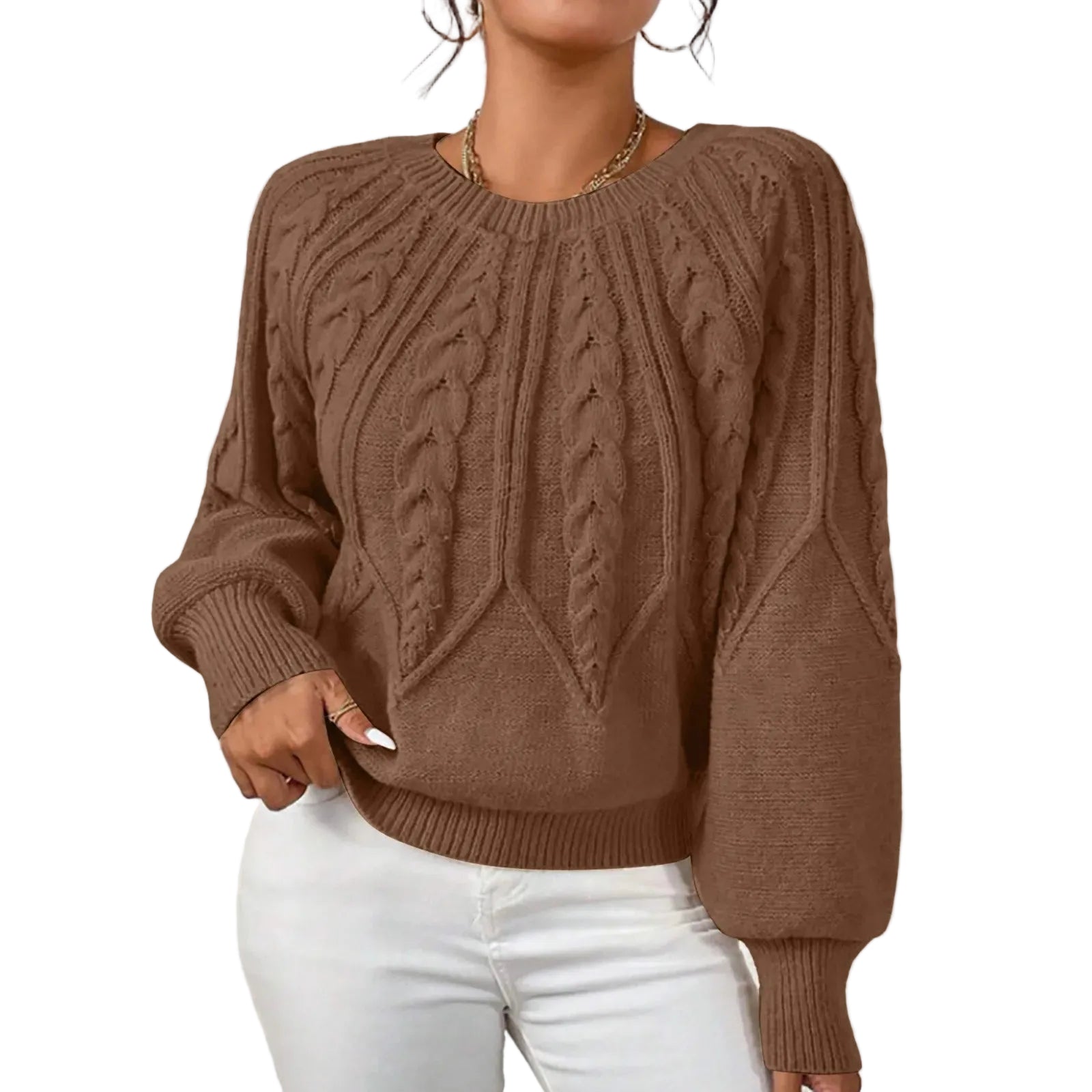 Women's Textured Crew Neck Relaxed Fit Contemporary Knit Sweater Top