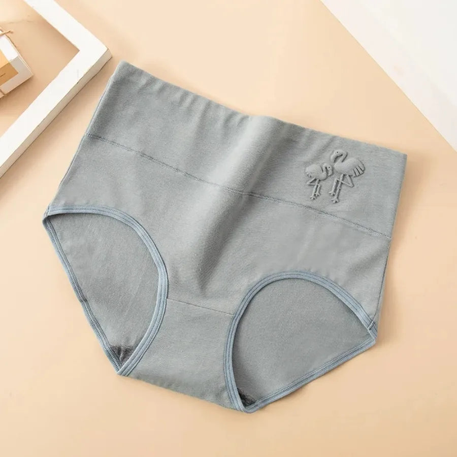4-Piece Plus-Size Women’s High-Waisted Briefs Set with Full-Coverage Silhouette, Smooth Finish and Neutral Color Assortment