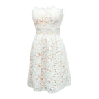 Lace Embroidered Romantic Alternative Mini Dress