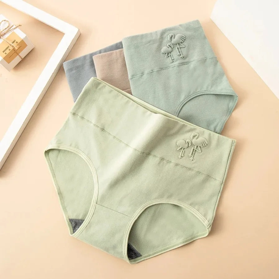 4-Piece Plus-Size Women’s High-Waisted Briefs Set with Full-Coverage Silhouette, Smooth Finish and Neutral Color Assortment