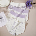 4-Piece Plus-Size Women’s High-Waisted Briefs Set with Full-Coverage Silhouette, Smooth Finish and Neutral Color Assortment