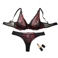 Romantic Crimson Embroidered Sheer Mesh Plunge Bra and Thong Set