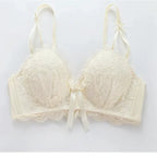 Scalloped Floral Lace Push-Up Bra with Side Smoothing Wings and Coordinated Brief Set