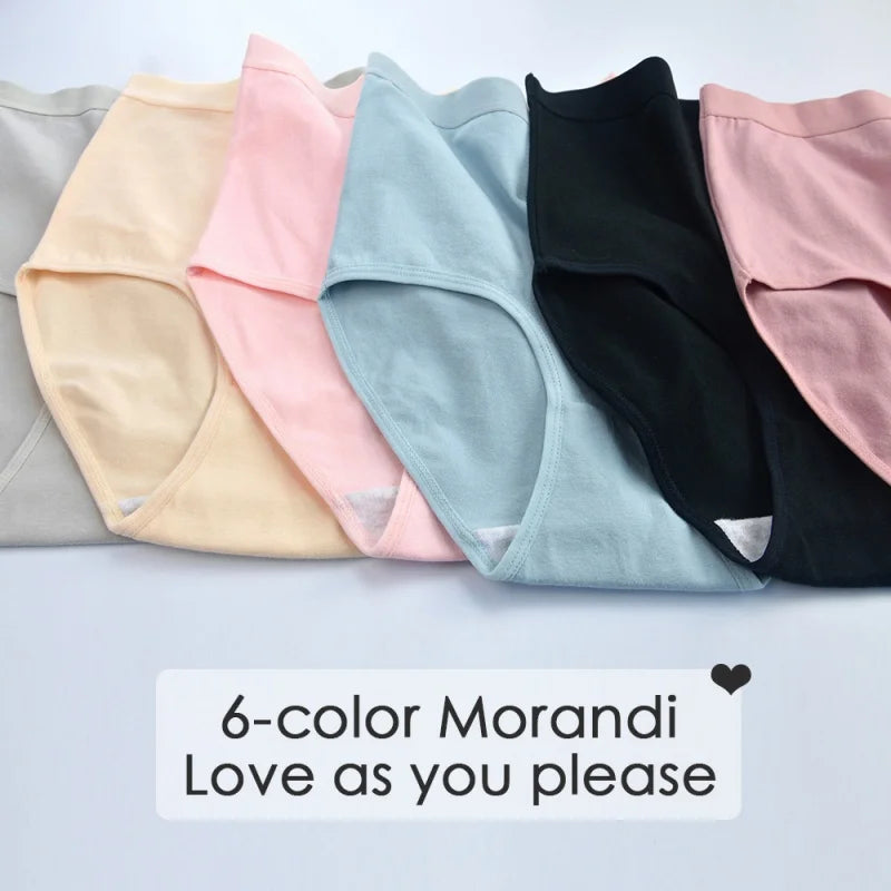 5-Piece High-Waisted Cotton-Blend Brief Set with Smoothing Wide Waistbands