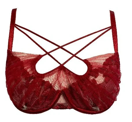 Deep Crimson Sheer Mesh Underwire Lingerie Set with Architectural Strappy Chest Detailing