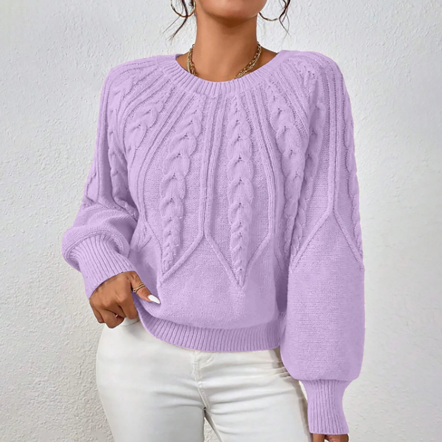 Women's Textured Crew Neck Relaxed Fit Contemporary Knit Sweater Top