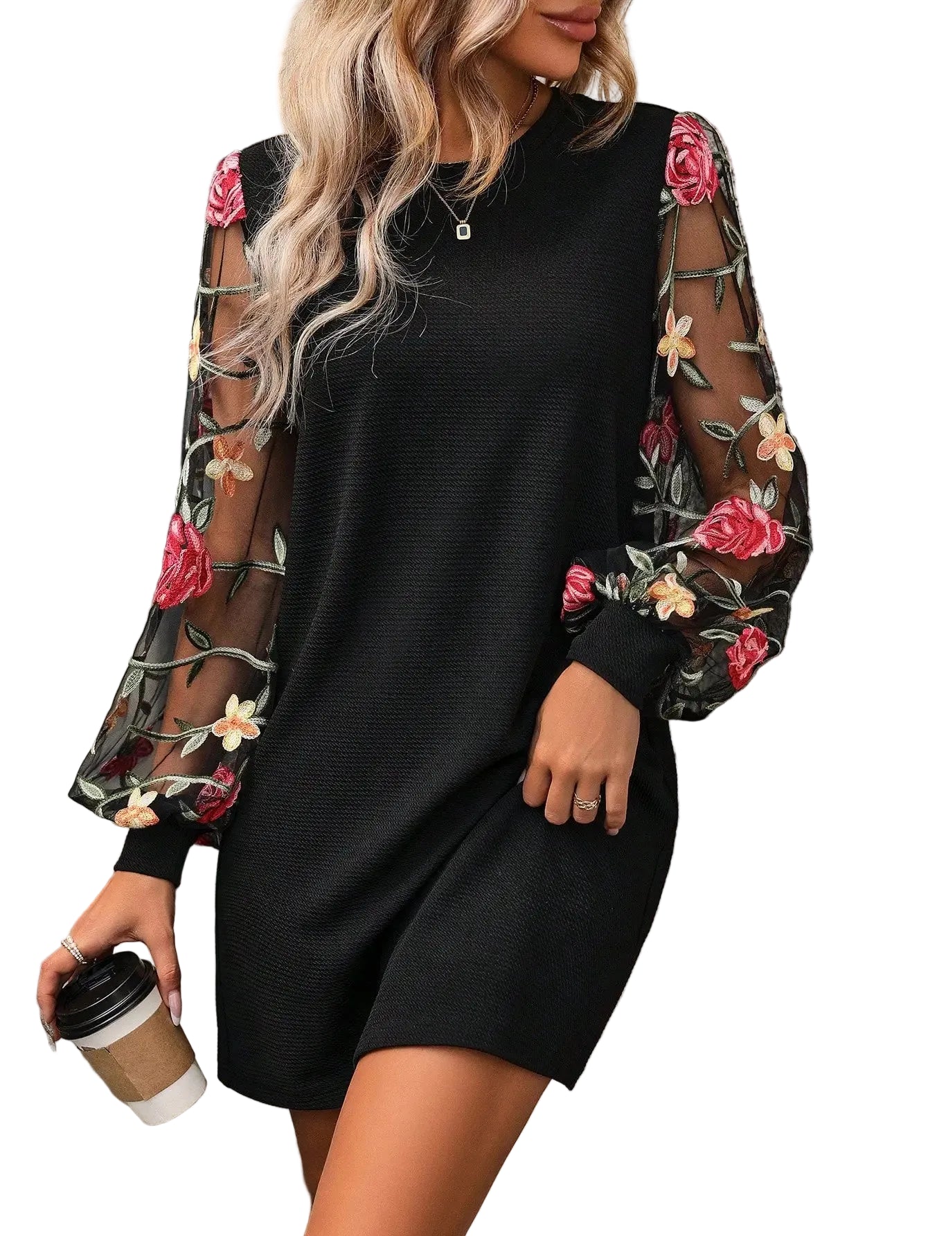 Embroidered Mesh Lantern Sleeve Relaxed Mini Dress with Statement Floral Details