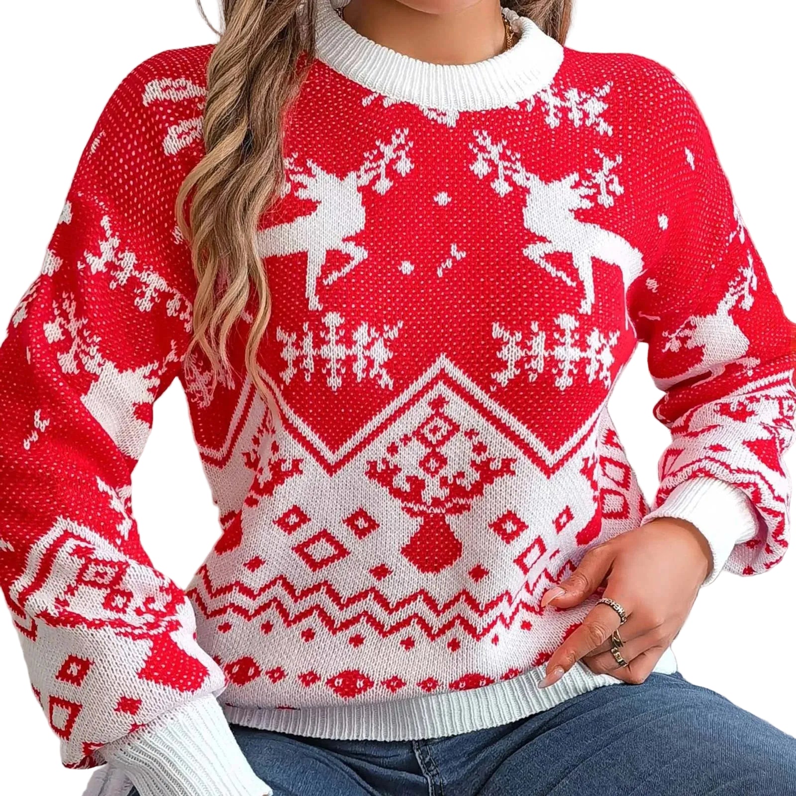 Women's Festive Fair Isle Pattern Crew Neck Relaxed Knit Pullover Sweater