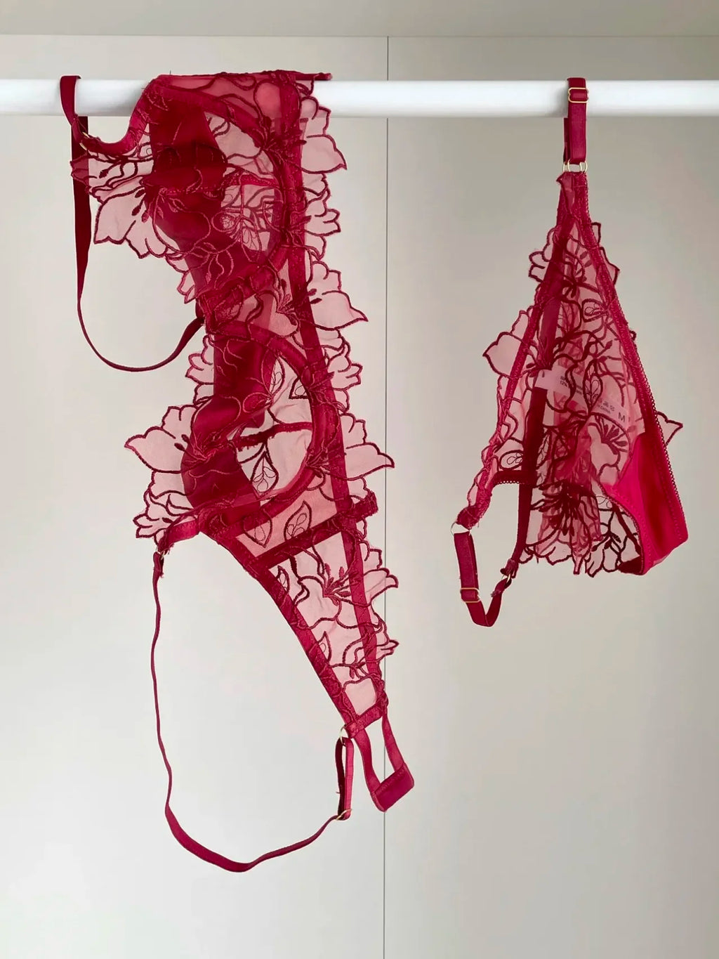 Embroidered Sheer Floral Lace Demi-Cup Bra and Matching Low-Rise Thong Set