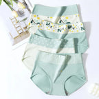 4-Piece Plus-Size Women’s High-Waisted Briefs Set with Full-Coverage Silhouette, Smooth Finish and Neutral Color Assortment