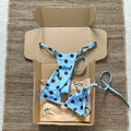 Light Blue and Brown Polka Dot Classic Tie-Side String Bikini Set