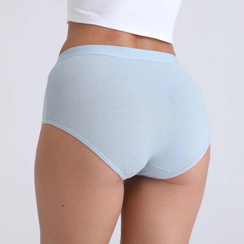 5-Piece High-Waisted Cotton-Blend Brief Set with Smoothing Wide Waistbands