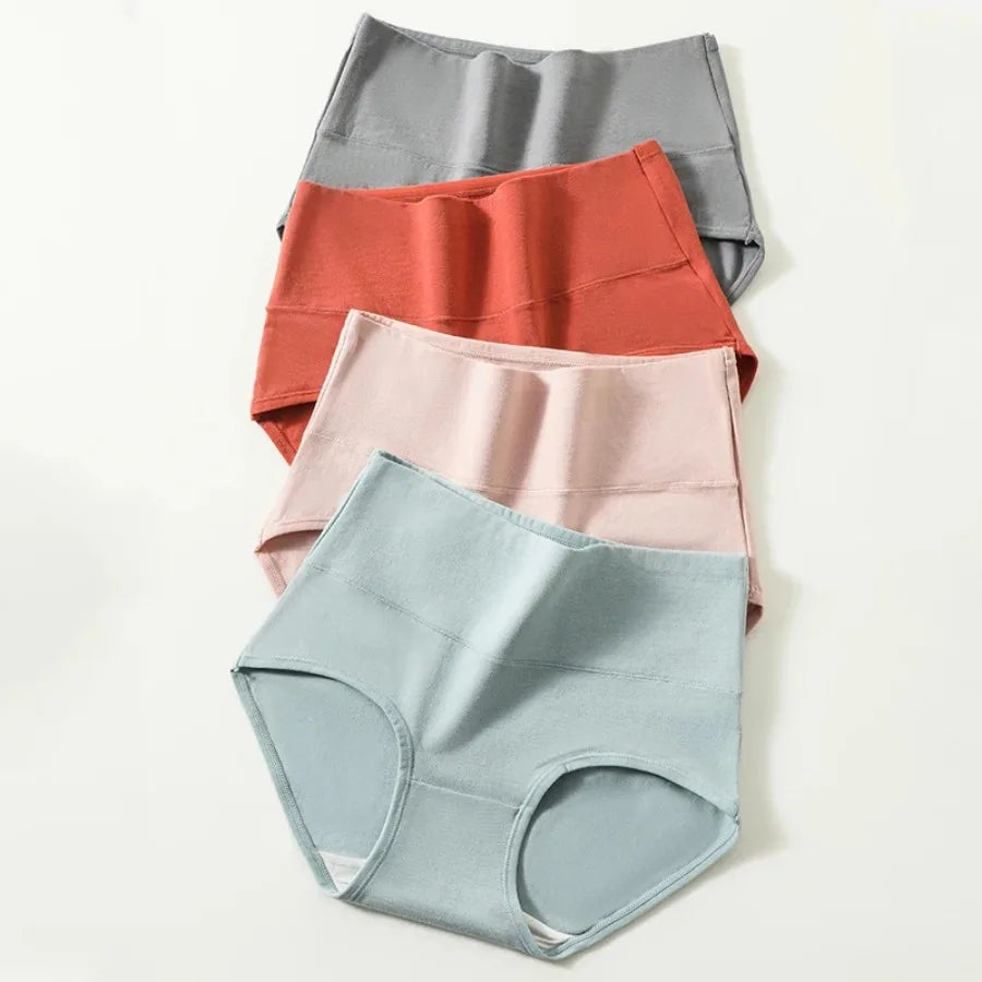 4-Piece Plus-Size Women’s High-Waisted Briefs Set with Full-Coverage Silhouette, Smooth Finish and Neutral Color Assortment