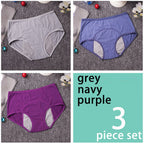 Five-Piece High-Waisted Absorbent Menstrual Brief Set