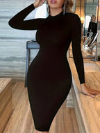 Minimalist Black Long-Sleeve Turtleneck Bodycon Dress