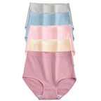 5-Piece High-Waisted Cotton-Blend Brief Set with Smoothing Wide Waistbands