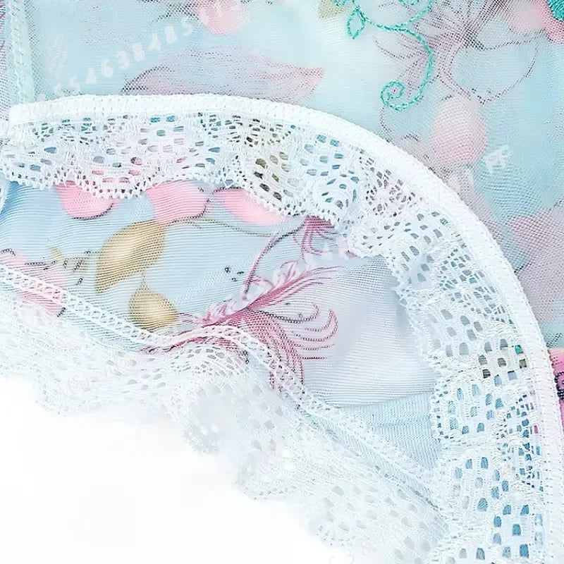 Women’s Floral Embroidered Lace Briefs with Sheer Panels, Low-Rise Silhouette and Delicate Feminine Detailing