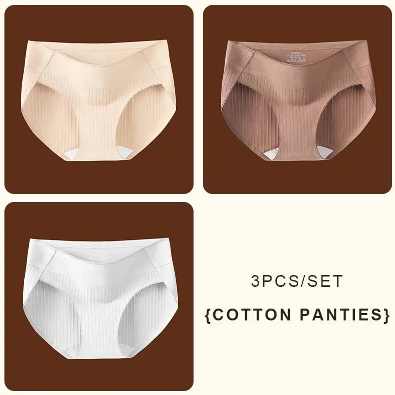 3-Piece Seamless Ribbed Mid-Rise Brief Set in Earthy Neutrals