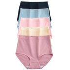 5-Piece High-Waisted Cotton-Blend Brief Set with Smoothing Wide Waistbands