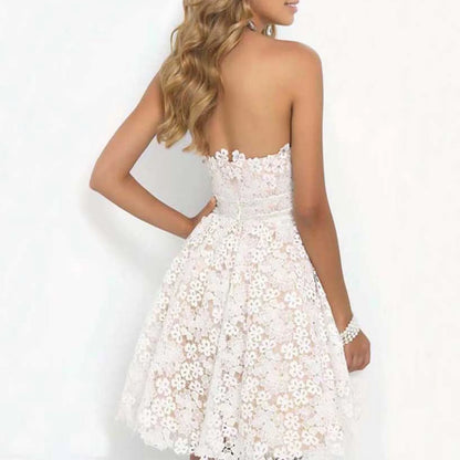 Lace Embroidered Romantic Alternative Mini Dress