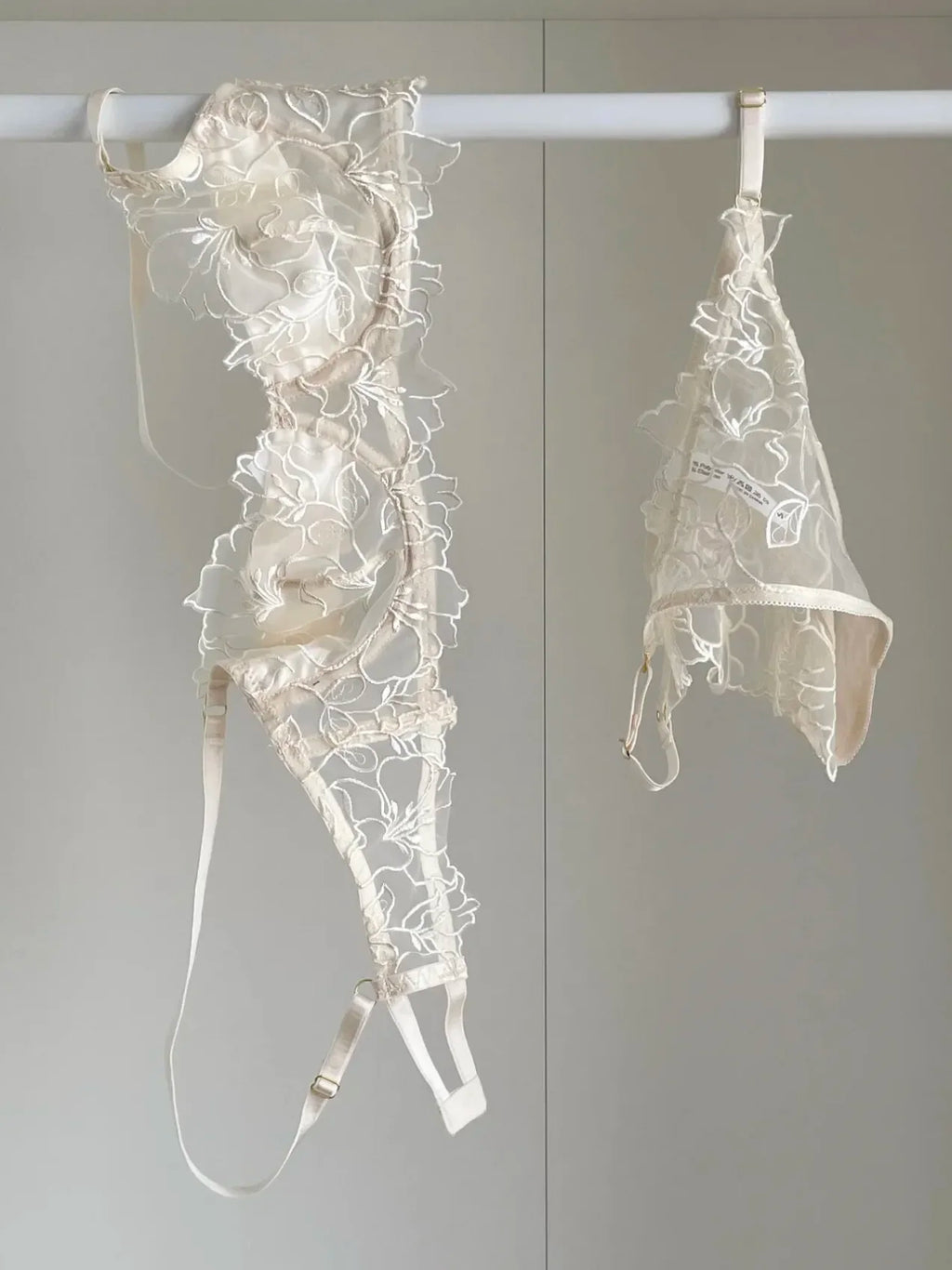 Embroidered Sheer Floral Lace Demi-Cup Bra and Matching Low-Rise Thong Set