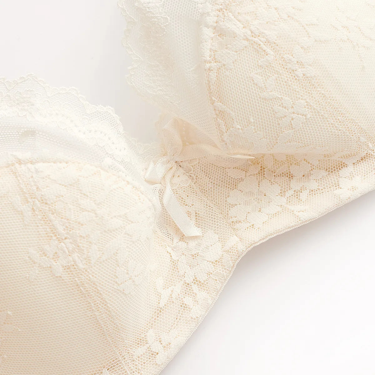 Elegant Scalloped Lace Plunge Bra and Panty Intimates Set