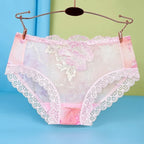 Women’s Floral Embroidered Lace Briefs with Sheer Panels, Low-Rise Silhouette and Delicate Feminine Detailing