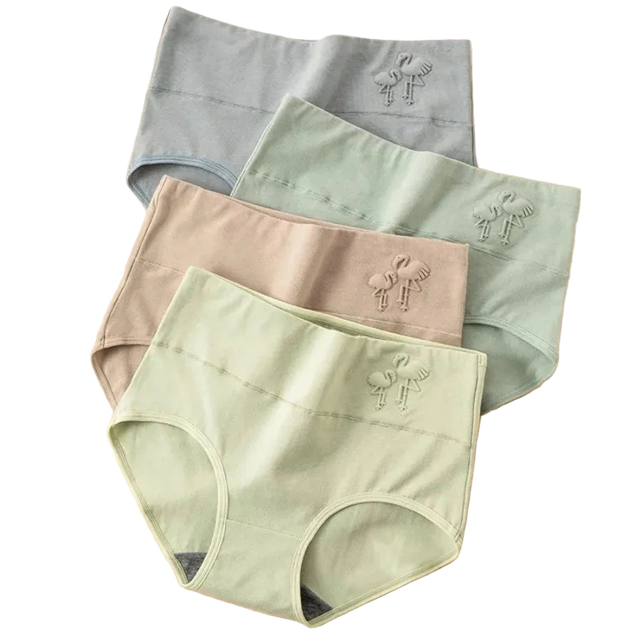 4-Piece Plus-Size Women’s High-Waisted Briefs Set with Full-Coverage Silhouette, Smooth Finish and Neutral Color Assortment