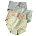 4-Piece Plus-Size Women’s High-Waisted Briefs Set with Full-Coverage Silhouette, Smooth Finish and Neutral Color Assortment