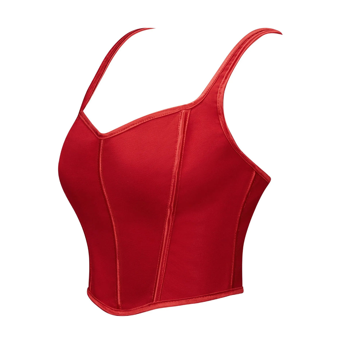 Coquette Flocked Floral Mesh Corset Top with Contrasting Trim and Sweetheart Neckline
