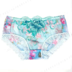 Women’s Floral Embroidered Lace Briefs with Sheer Panels, Low-Rise Silhouette and Delicate Feminine Detailing