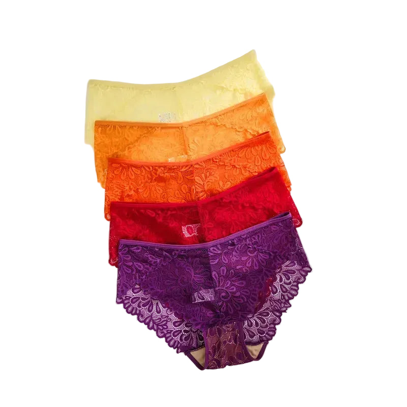 5-Piece Women’s Lace Mid-Rise Briefs Set with Openwork Detailing, Soft Stretch Silhouette and Assorted Feminine Colors
