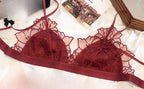Ethereal Sheer French Lace Triangle Bralette and Matching Scalloped Panty Set